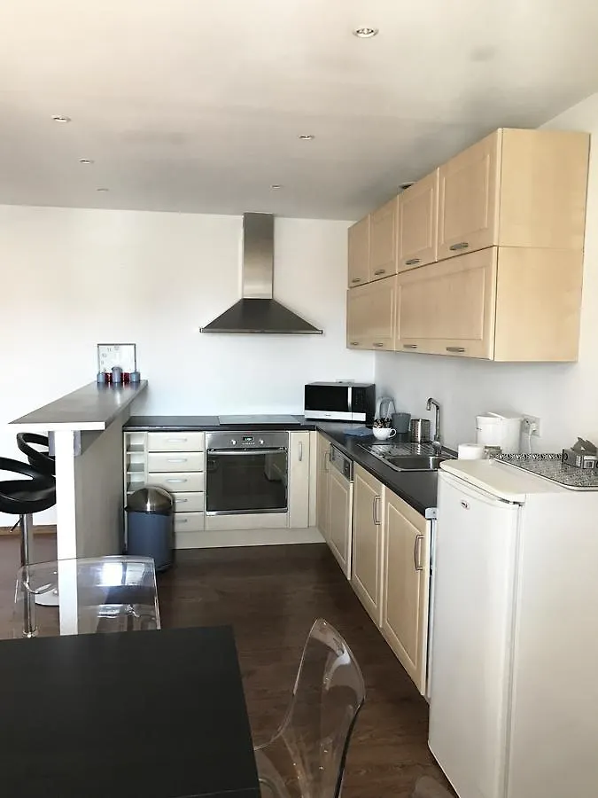 Cannes Festival Apartment